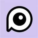 PovChat AI logo